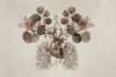 do botanical and anatomical scientific illustrations