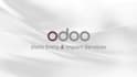 data entry into odoo erp
