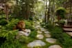 paint watercolor environment background art