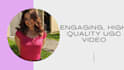 make a high quality, scroll stopping ugc video for your brand
