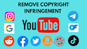 remove copyright harassing defaming and leaked content, article by dmca