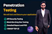 penetration testing pentest web application testing api testing