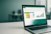 do professional excel dashboards and vba scripts