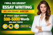 do case study analysis, report, paper, finance, assignment research and summary