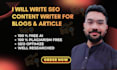 write SEO content writer for blogs and articles