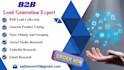 targeted b2b leads with manual research