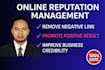 be your expert in online reputation management and content removal