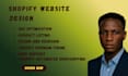 do design and redesign website,shopify dropshipping site