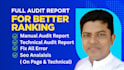 deep website audit for SEO, speed and performance