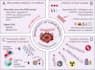 create professional scientific illustrations, graphic abstracts, or posters