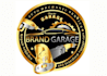 do automotive, garage, auto detailing, car racing and car wash logo design
