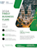 print design flyers, posters, menus and invitations