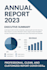 professional business and corporate reports