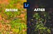 do picture editing as per your need retouching and cinematic