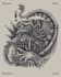 create flash tattoo balinese style