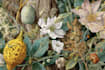 paint botanical and scientific illustrations