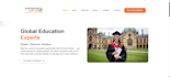 develop a modern and responsive website