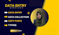 do  data entry services