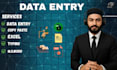 professional bookkeeping and financial data entry in excel