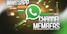 engage whatsapp channel gain 50k followers, bulk message whatsapp without remove