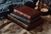 create an fantasy book novel series logo
