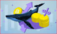 do crypto pumpfun promotion to 400k users and get 200k whale investors