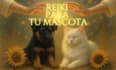 send a powerful reiki session for your pets