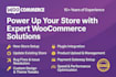 build modern ecommerce website using woocommerce