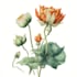 paint watercolor botanical illustrations