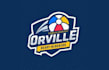 design awesome beach ball team logo