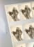 do an accurate tarot reading for spiritual guidance