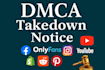 send dmca takedown notice to remove copyright infringements