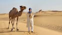 do tik tok dance, dance video, dance camel, group dance