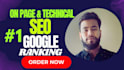 fix on page SEO and technical issues for google