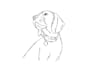 doodle semi details line drawing