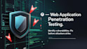 perform penetration testing and vulnerability assessment