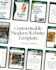 provide a modern showit restaurant website template