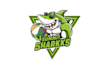 design sharks beach ball team logo