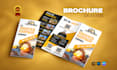 design trifold brochure, bifold and multipage brochure in 24 hrs