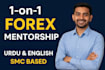 provide professional forex trading mentorship