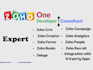 be you zoho expert for customization and third party integration