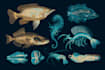 make scientific illustrations for you