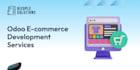make professional e commerce web making