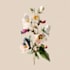 do paint watercolour botanical illustrations