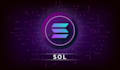 solana staking dapp,solana crypto staking,solana investment,spl token stake