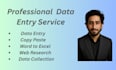 do fast and accurate data entry and web research