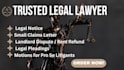 draft legal pleadings, motions, or letters for pro se litigants with profession