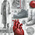 draw detailed medical illustrations