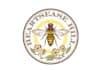 design a professional modern bee logo