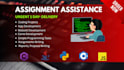 do coding assignments in python java c cpp c sharp rust HTML css